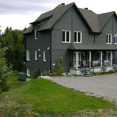 Vue Sur La Montagne LʼAnse-Saint-Jean Exterior foto