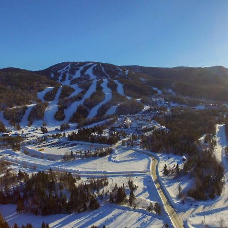 Vue Sur La Montagne LʼAnse-Saint-Jean Exterior foto