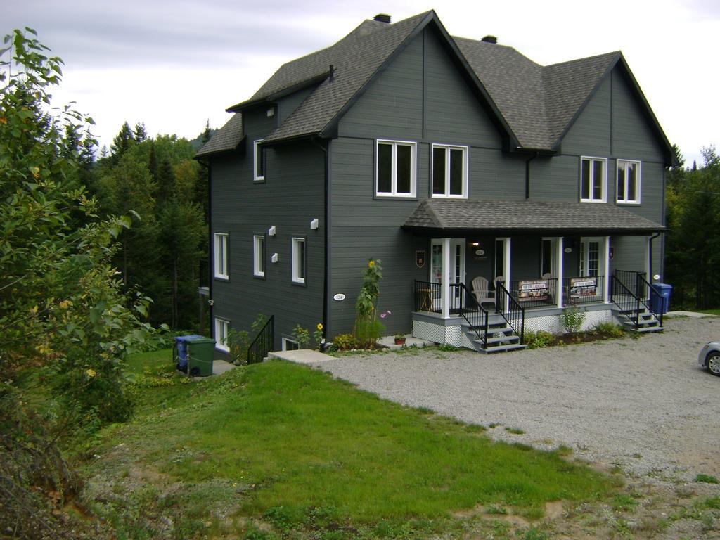 Vue Sur La Montagne LʼAnse-Saint-Jean Exterior foto